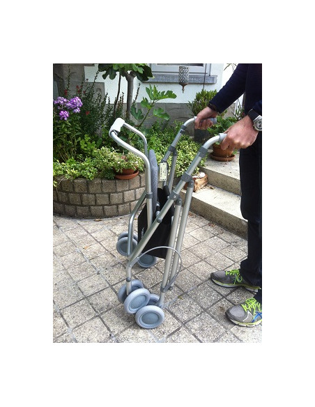 Déambulateur intérieur extérieur Ara K