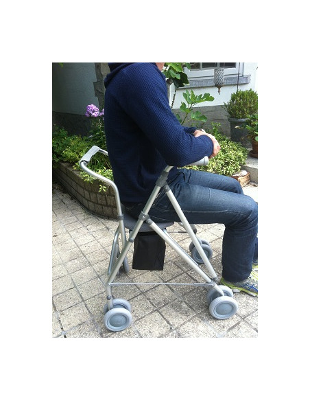 Déambulateur intérieur extérieur Ara K