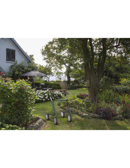 Déambulateur / desserte Butler