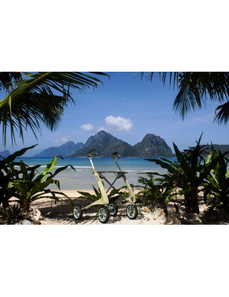 Déambulateur Carbon Ultralight