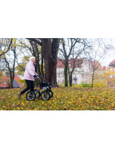 Déambulateur compact tout terrain Trionic Walker 12 er