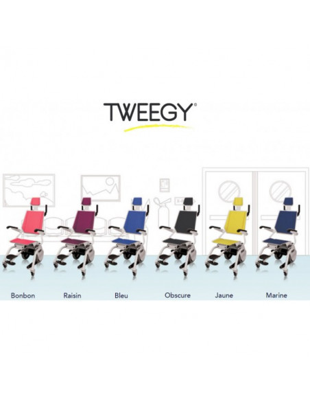 Fauteuil de transfert Tweegy