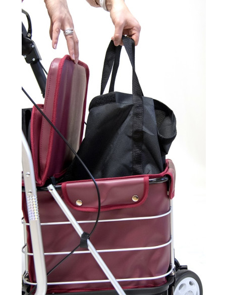 Déambulateur Caddy de course LETT800