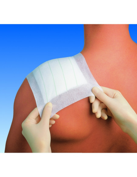 Sparadrap Omnifix 5 cm / 10 cm x 10 m